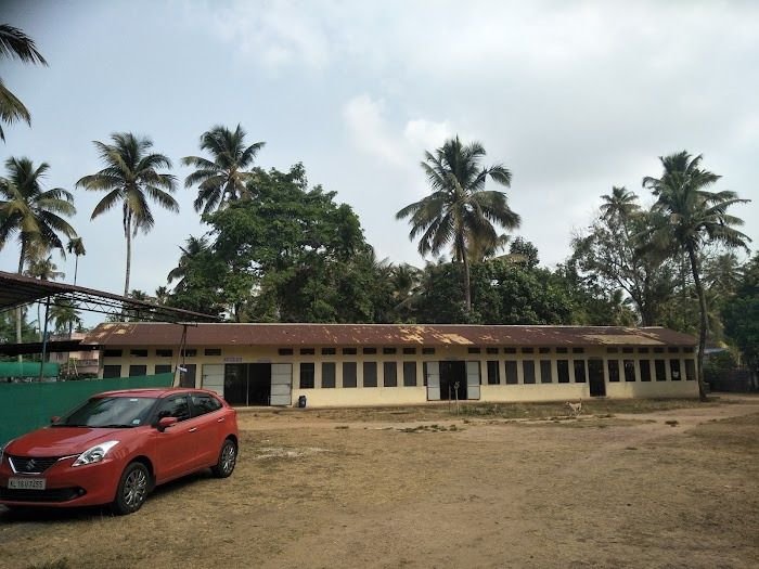 A single-storey block among coconut palms